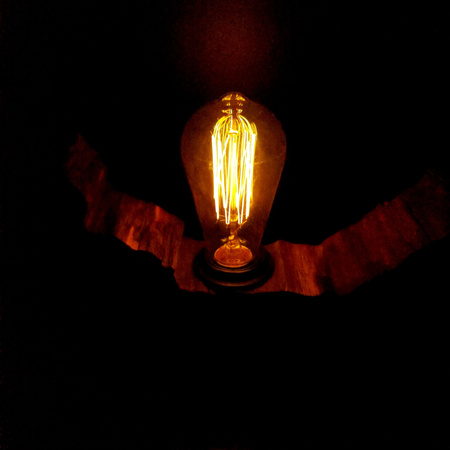 Lampa pojedyncza (JABŁOŃ NR 5)
