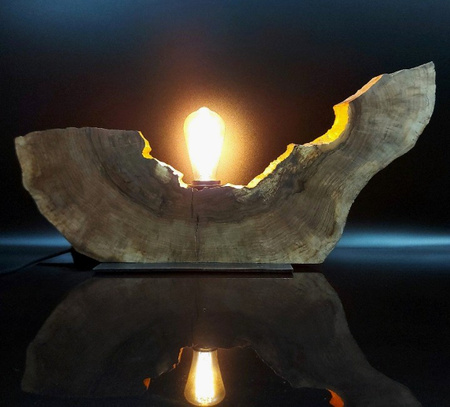 Lampa pojedyncza (JABŁOŃ NR 5)