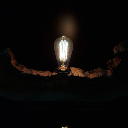 Lampa pojedyncza ,,ŁÓDŹ,, (JABŁOŃ NR2)