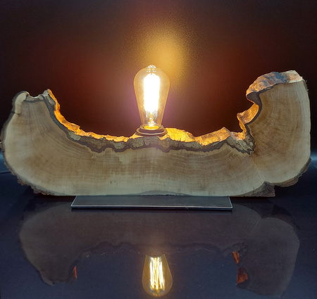 Lampa pojedyncza ,,ŁÓDŹ,, (JABŁOŃ NR2)