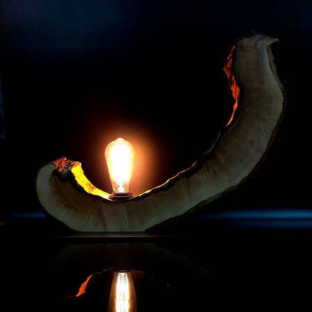 Lampa pojedyncza ,,SKOCZNIA,, (JABŁOŃ NR1)